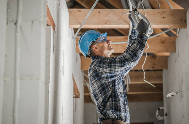 Best Electrical System Inspection  in Virden, IL