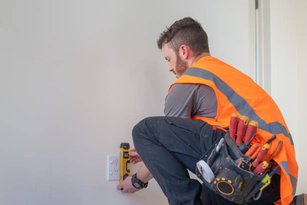 Best Electric Panel Repair  in Virden, IL